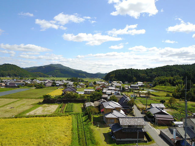 秋の東本梅