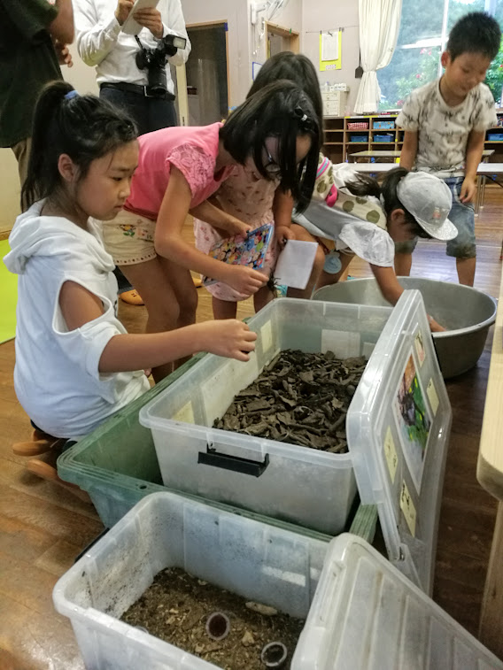 カブトムシを見る子ども記者さん